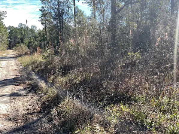 123 BUCKLES Drive, Palatka, FL 32177