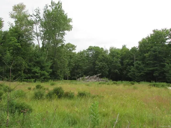 390 County Route 56, Wurtsboro, NY 12790