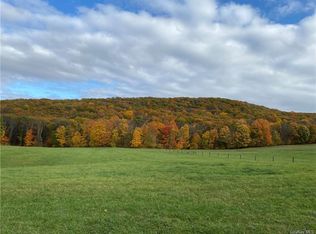 3 W Meadow Way, Chester, NY 10918