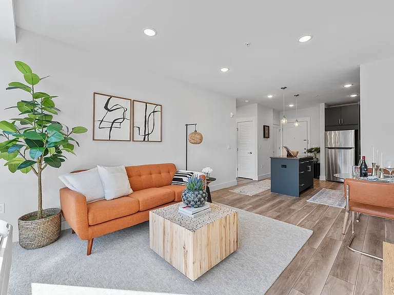 One Bedroom Apartment- Living Room