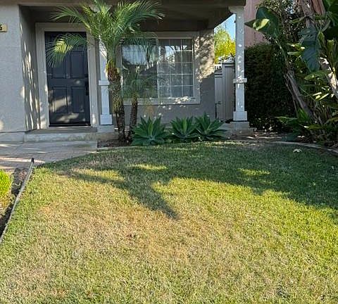 Street view of the front yard