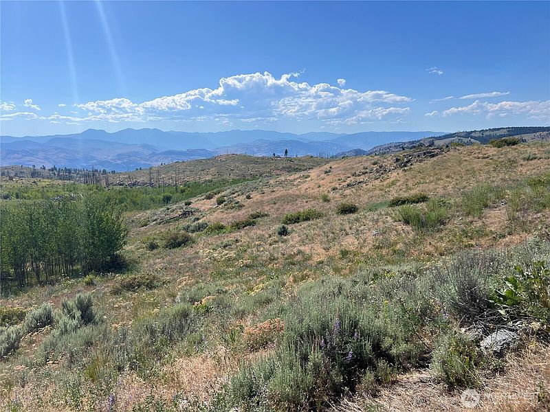 2nd image of 0 Lot 12 Lone Spur Road
