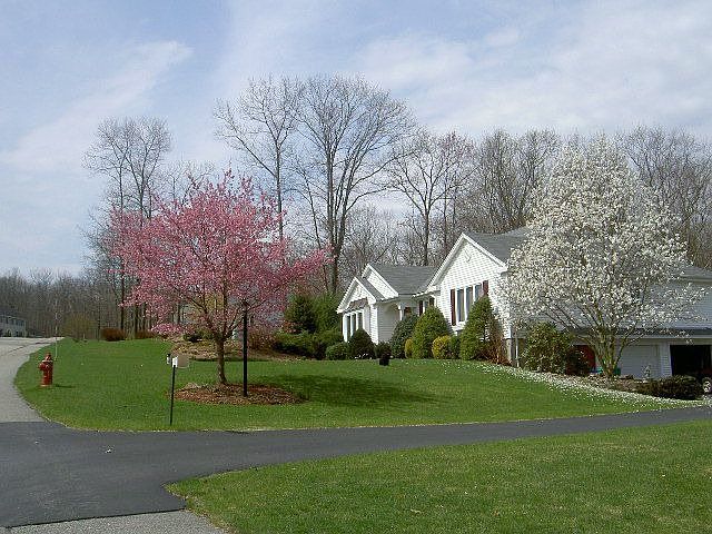 front side view