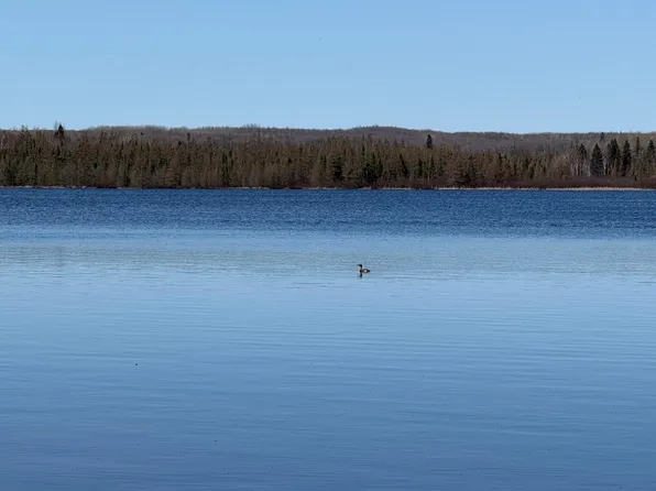 LOT 4 Allen Rd, Crandon, WI 54520