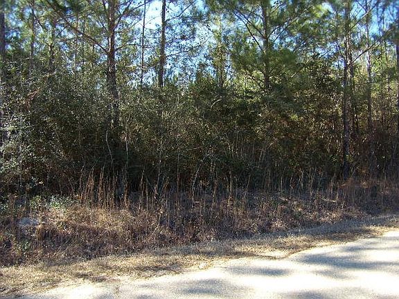 2nd image of Stag Dr