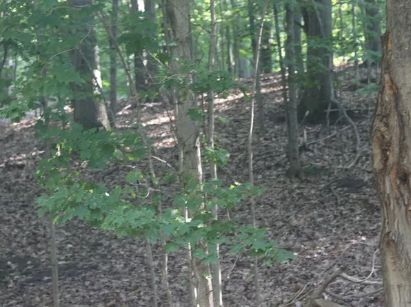 LOT 20 Crystal View Cmn, Beulah, MI 49617