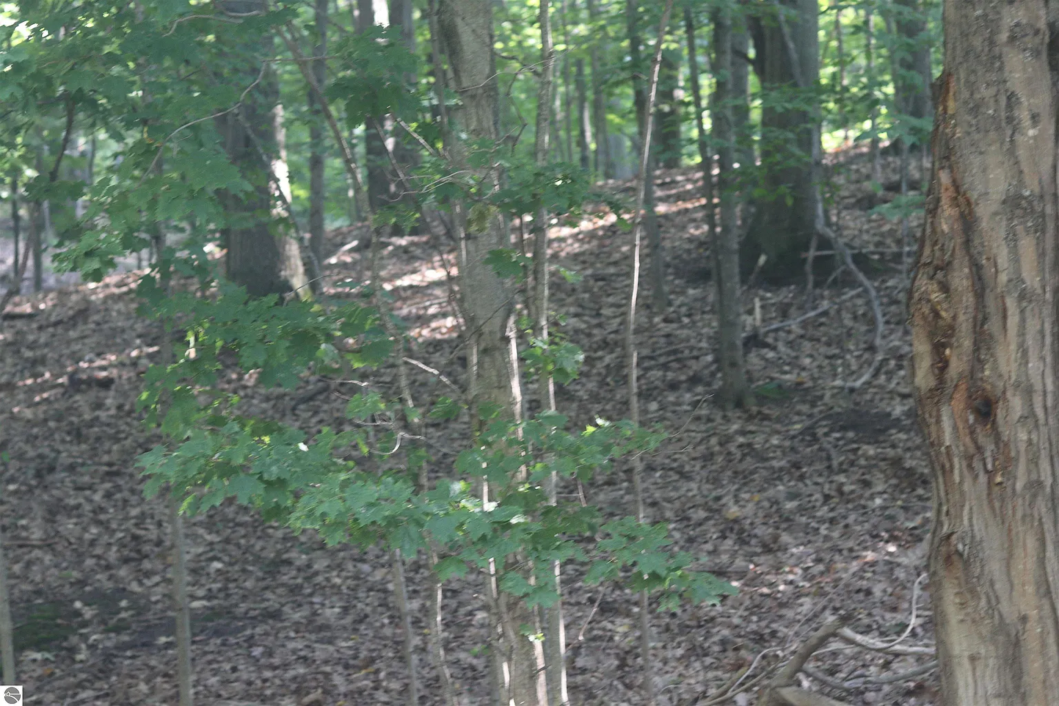 LOT 20 Crystal View Cmn photo 1