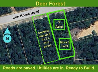 350 Iron Horse Rd LOT 9, Willis, TX 77378