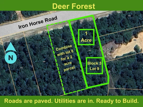 350 Iron Horse Rd Lot 9, Willis, TX 77378