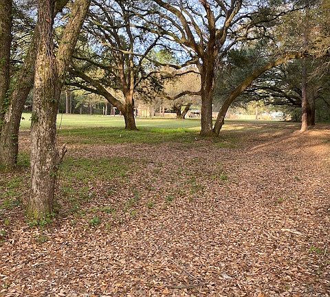 3rd image of 379 Leland Ferrell Dr