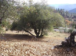 1019 Laurel Ln, Murphys, CA 95247