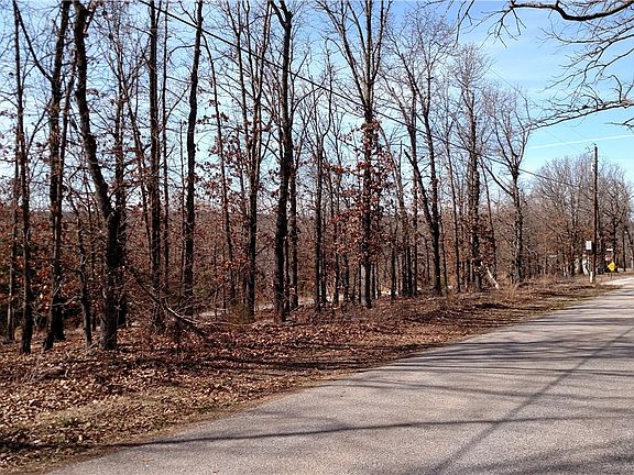 2nd image of Blueberry Ln