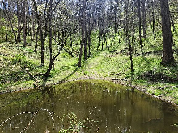 3rd image of 950 Chapman Hollow Rd