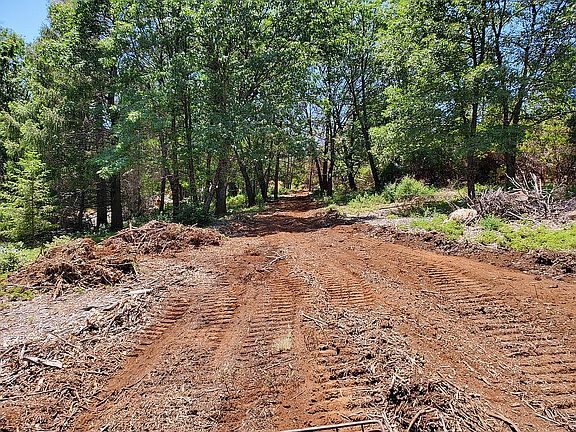 4th image of Apn Foresthi #255-040-04