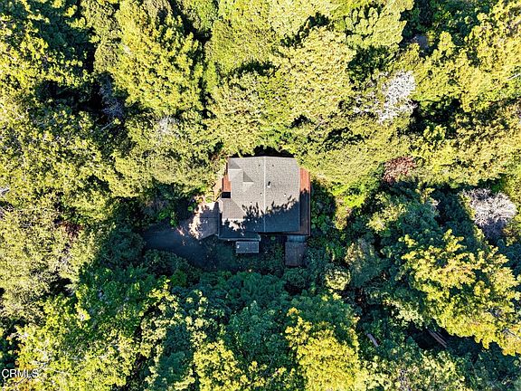 2nd image of 32268 Forest Ln