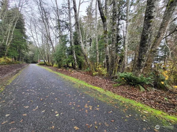 0 W Cowan Road, Sekiu, WA 98381