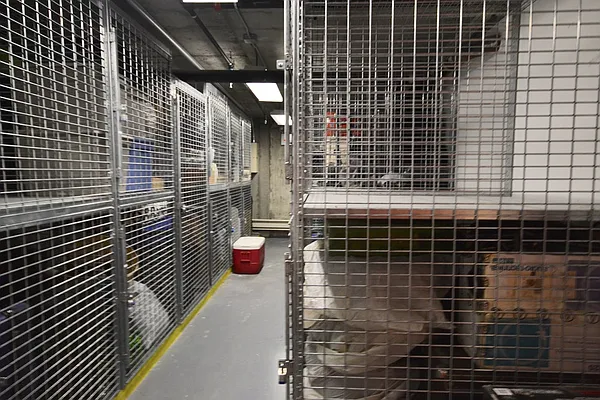 Rented by Bold Marketing | media 20