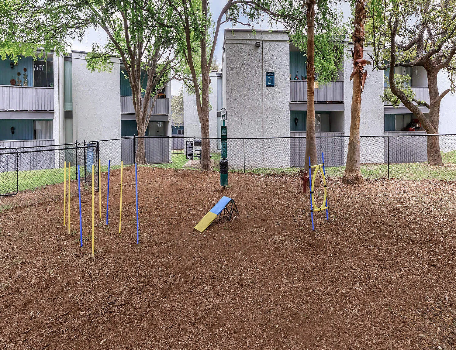 Ayla at Castle Hills — Photo 4