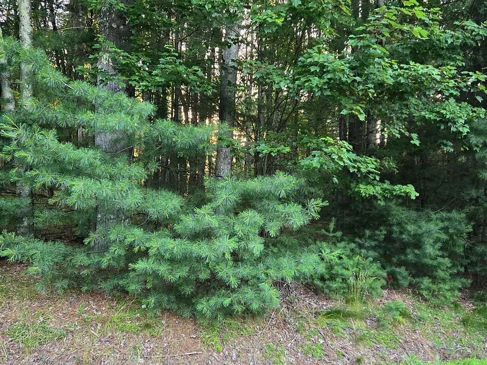 1st image of Horseshoe Lake Road