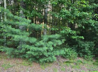 Horseshoe Lake Road, Bethel, NY 12764