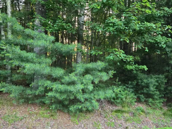 Horseshoe Lake Road, Bethel, NY 12764