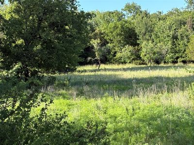 2652 Fm 216, Iredell, TX, 76649