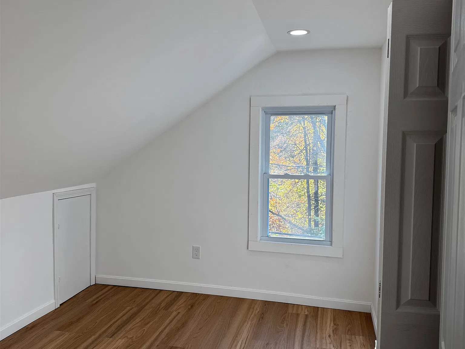 2 bed, 1.0 bath, 800 sqft, $1,700 — Photo 4
