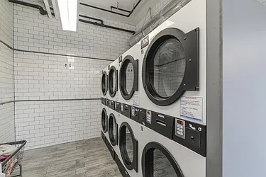 Rented by Area New York