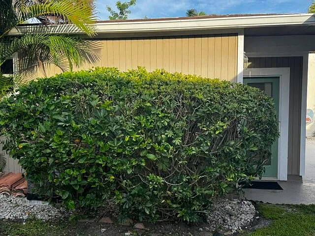112 E Coral Fish Ln — Photo 54