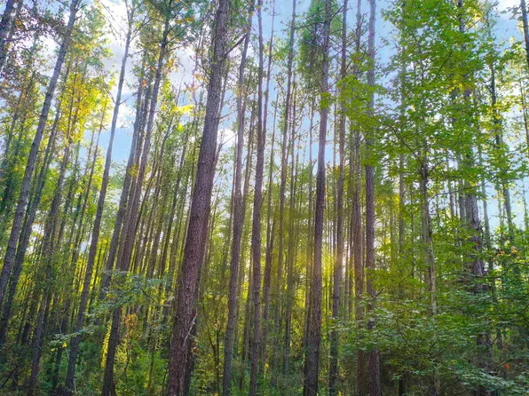 11 & 12 Highway 449, Pine Grove, LA 70453