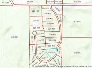 5240 Burt Lake Views Dr, Alanson, MI 49706