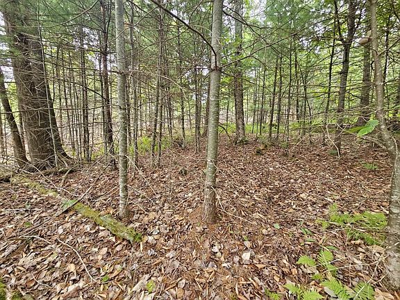 3rd image of 22-03 Rowell Mountain Road