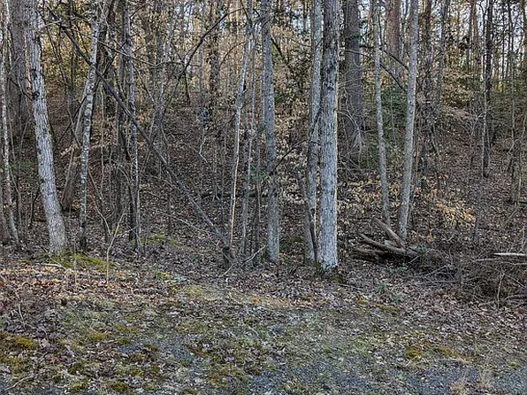 164 Suwanee Rd, Troy, NC 27371