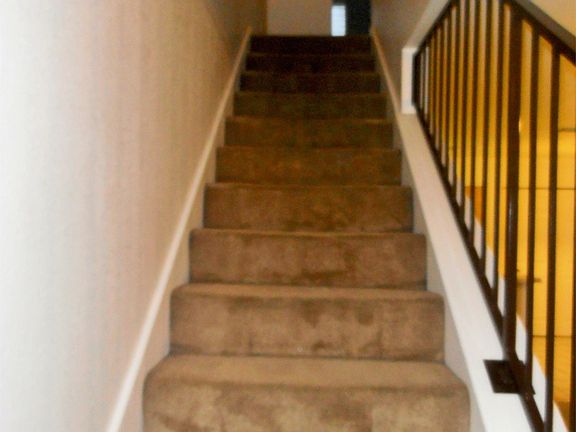 5th image of 709 S Amy Ln APT A