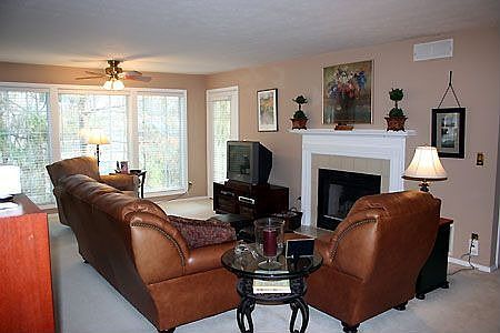 Sunny living room with cozy fireplace