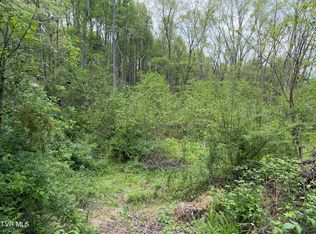 310 Mitchell Ct, Jonesborough, TN 37659