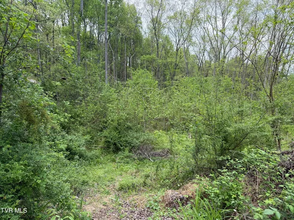 310 Mitchell Ct, Jonesborough, TN 37659