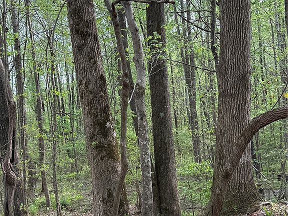 3rd image of 0 Samson Clements Loop Rd