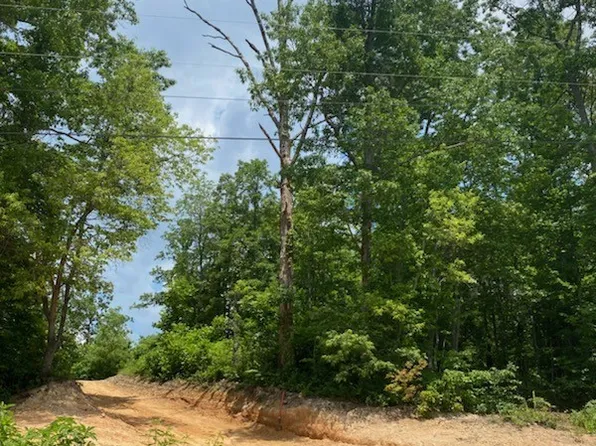 267 Railroad Bed Rd, Summertown, TN 38483