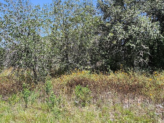 3rd image of 24114 Tumbleweed LN LOT 137