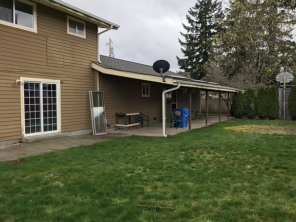 Back yard 