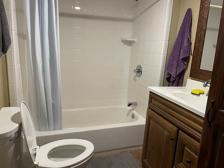 1117 Bledsoe Dr — Photo 9