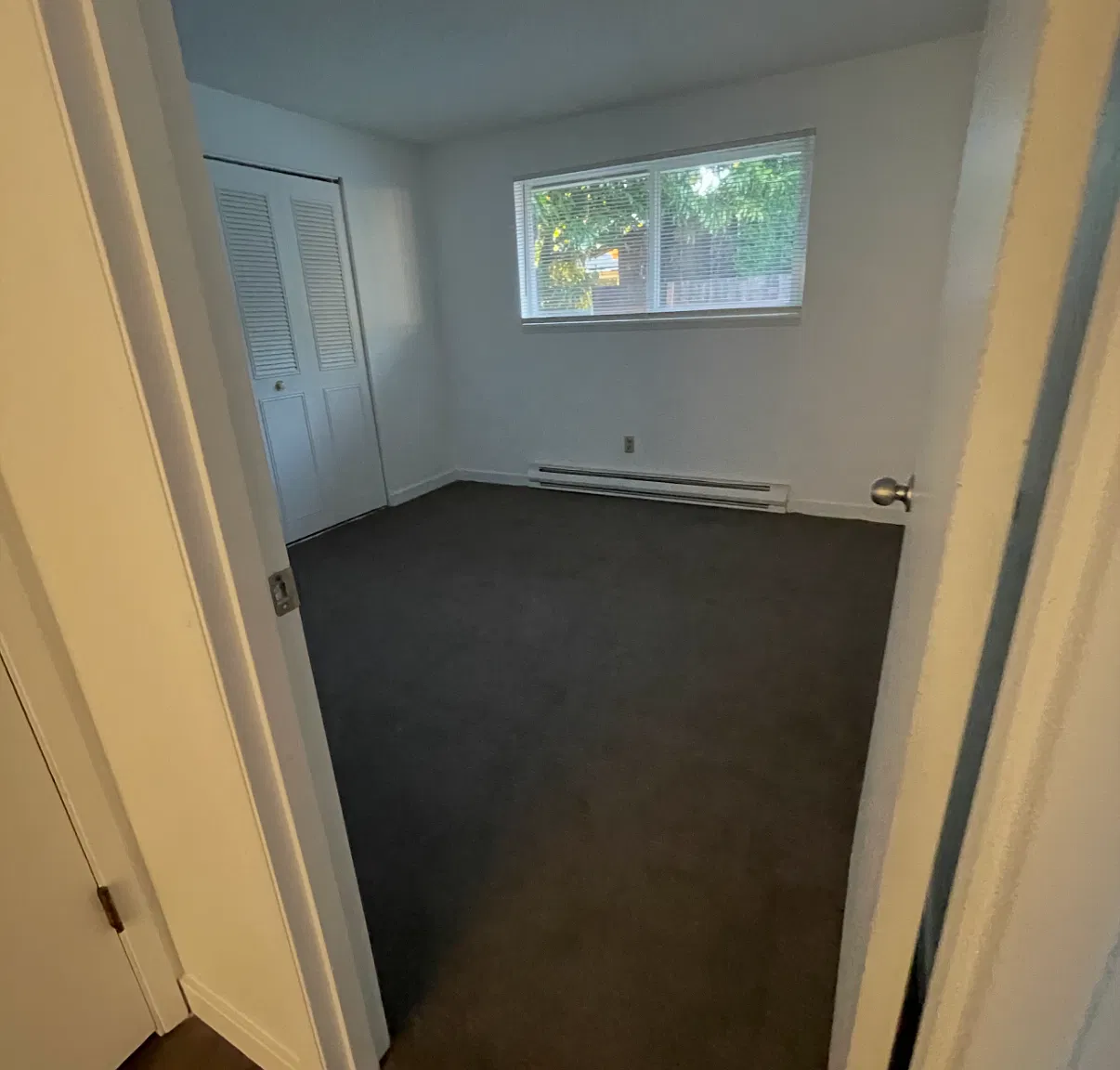 2 bed, 780 sqft, $1,900 — Photo 2