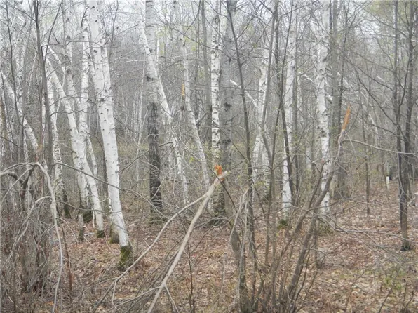 0000 Reppert rd, Weirgor, WI 54835