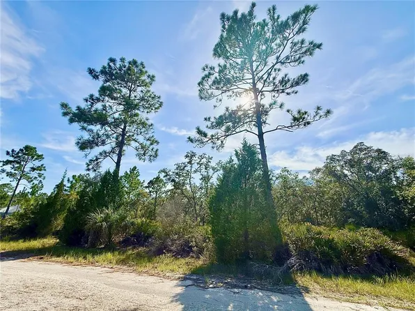 RYDAL ROAD LOT 11, WEEKI WACHEE, FL 34614