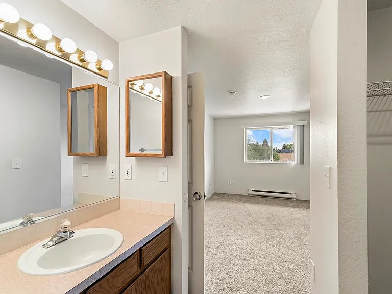 Apartment - Bathroom off Primary Bedroom