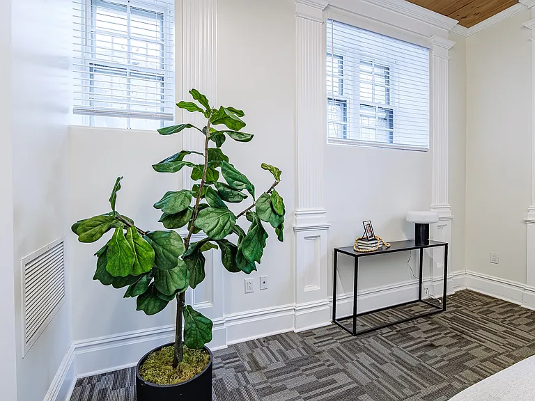 421 University Ave #B — Photo 16