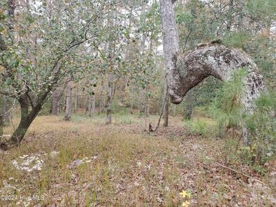Lot 98 Waters Edge Drive, Chocowinity, NC, 27817