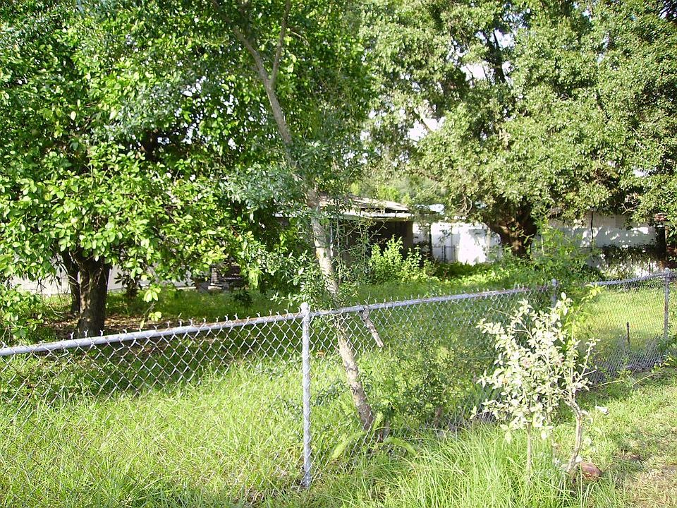 BACKYARD MATURE GRAPEFRUIT TREE