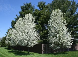 8552 Yellowstone Dr, Byron, IL 61010